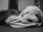 DSCF2011.JPG
