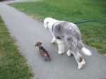Walking along.JPG