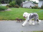 Walking.JPG