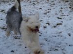 YEY snow!.jpg