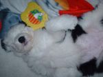 Abigael_day 022.jpg