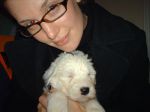 our%20puppy%2000222.jpg