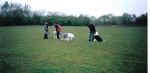2nd UK Sheepie day 026.jpg
