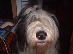 DSCF0140.JPG