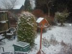 DSCF0167.JPG