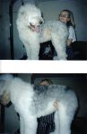 Grooming.jpg