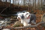 DSC_0412.JPG