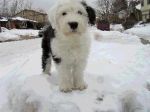 10Weeks-a.JPG