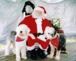 babiessanta.JPG