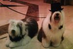 100_0068.JPG