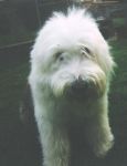 2011-08-17-0859-51_edited.jpg