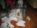 Picture 004.jpg