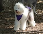 willow5.jpg