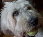 Still My Ball2.jpg