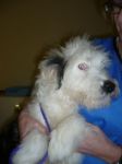 animals 2008 021.jpg