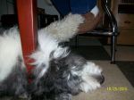 02-24-2013 049.JPG