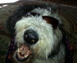 20130922_102848.jpg