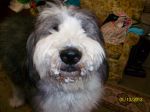angus snow 027.JPG