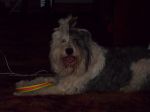DSCF0175.JPG