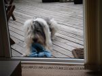 DSCF0214.JPG
