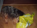 DSCF0317.JPG