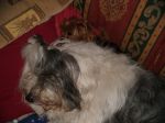 DSCF0324.JPG
