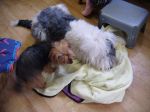 DSCF0697.JPG