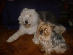 DSCF0759.JPG
