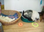 DSCF0811.JPG