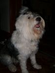 DSCF0889.JPG