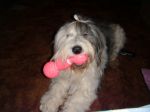 DSCF1103.JPG