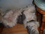 DSCF1535.JPG