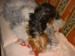 DSCF2011.JPG