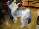 PICT0043.JPG