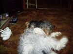 PICT0329.JPG