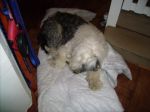 PICT0624.JPG
