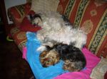PICT0656.JPG