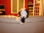 DSC01075.JPG