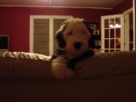 DSC01077.JPG