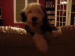 DSC01078.JPG