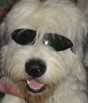 cool frank.jpg