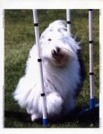 Belle May 02.jpg
