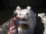 DSCF0264.jpg