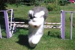 Faster please.jpg