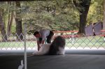 OES 2007 National Show 203.jpg