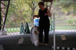 OES 2007 National Show 216.jpg
