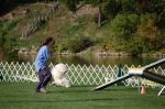 OES 2007 National Show 659.jpg