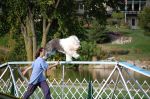OES 2007 National Show 662.jpg