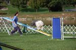 OES 2007 National Show 663.jpg