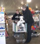Puppy Shopping becky 1-14-12.jpg